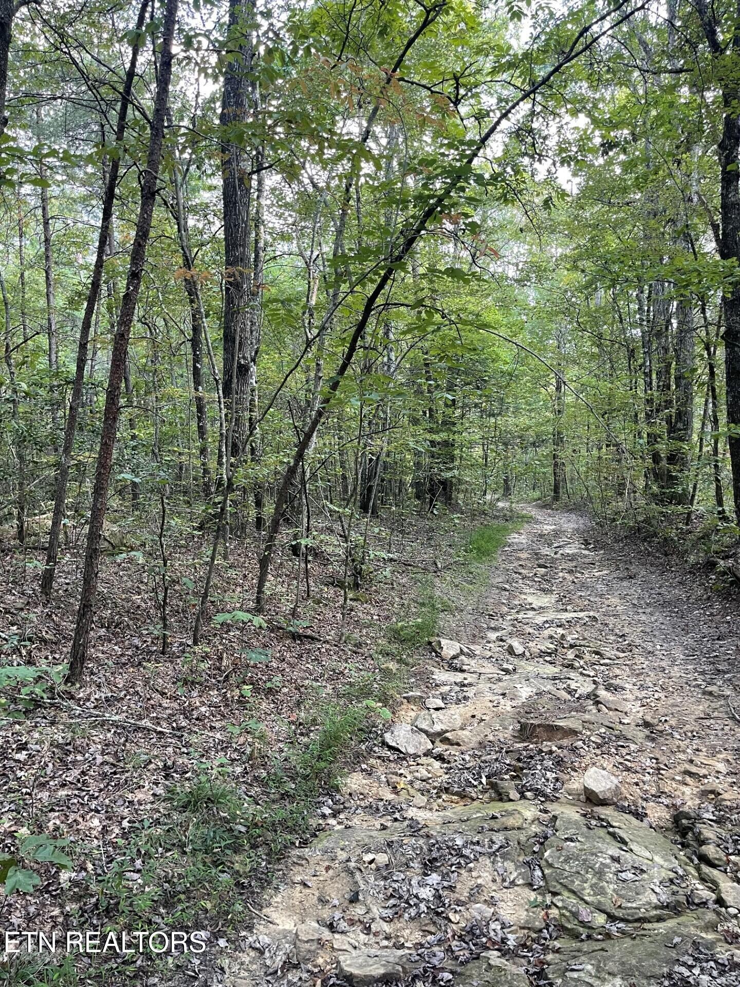0 Off Buckridge Road Crossville, TN 38572 - Photo 8 of 19 Gallery Image 8