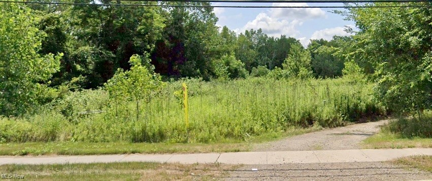 4401 Jaeger Road Lorain, OH 44053 - Photo 9 of 9 Gallery Image 9