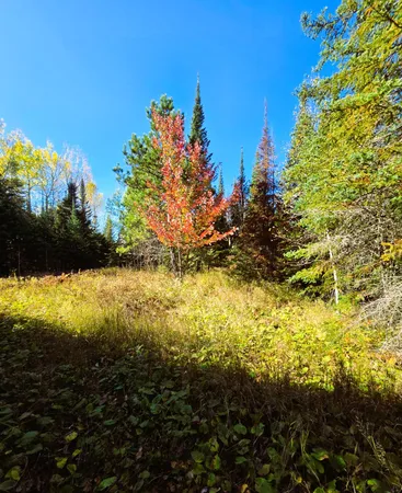 $189,000 | 6457 Colombe Road, Chisholm, MN 55719