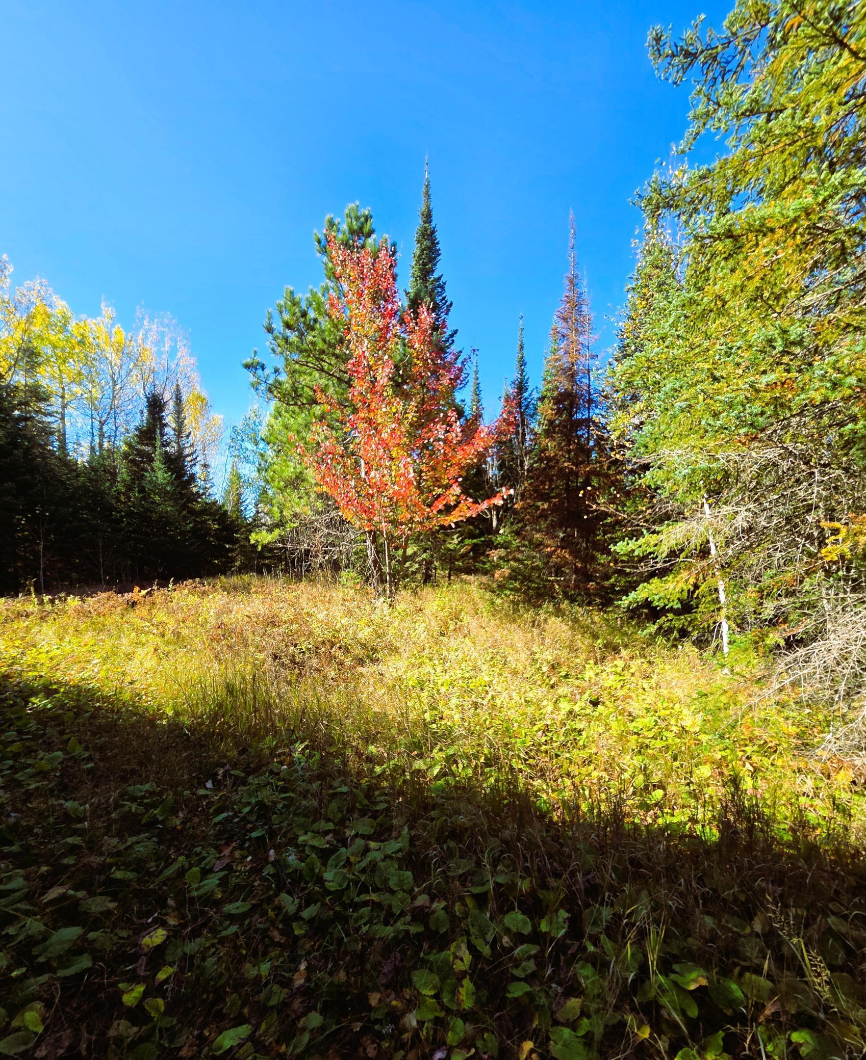 6457 Colombe Road Chisholm, MN 55719 - Photo 20 of 20