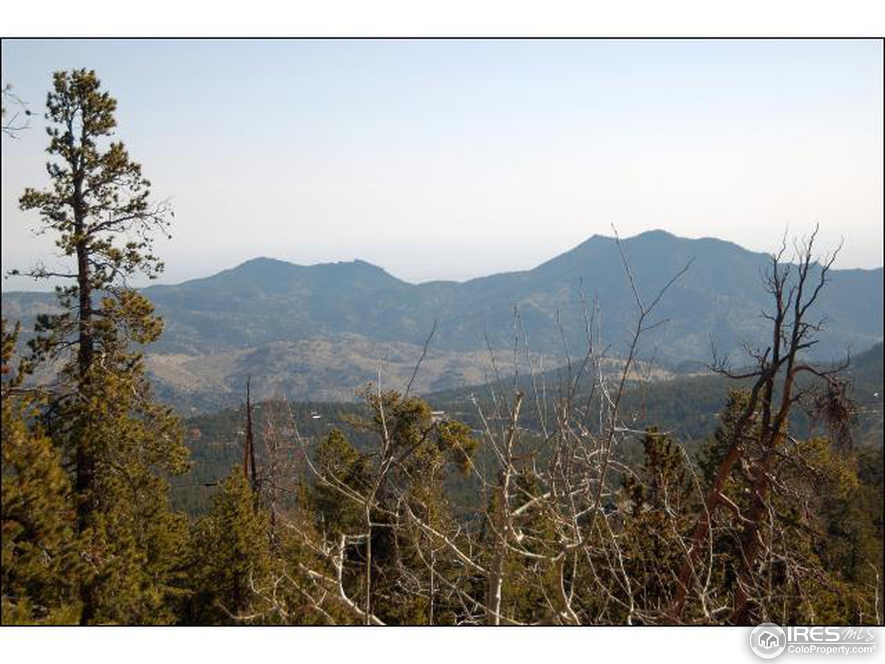 11331 Shimley Road Golden, CO 80403 - Photo 11 of 12 Gallery Image 11