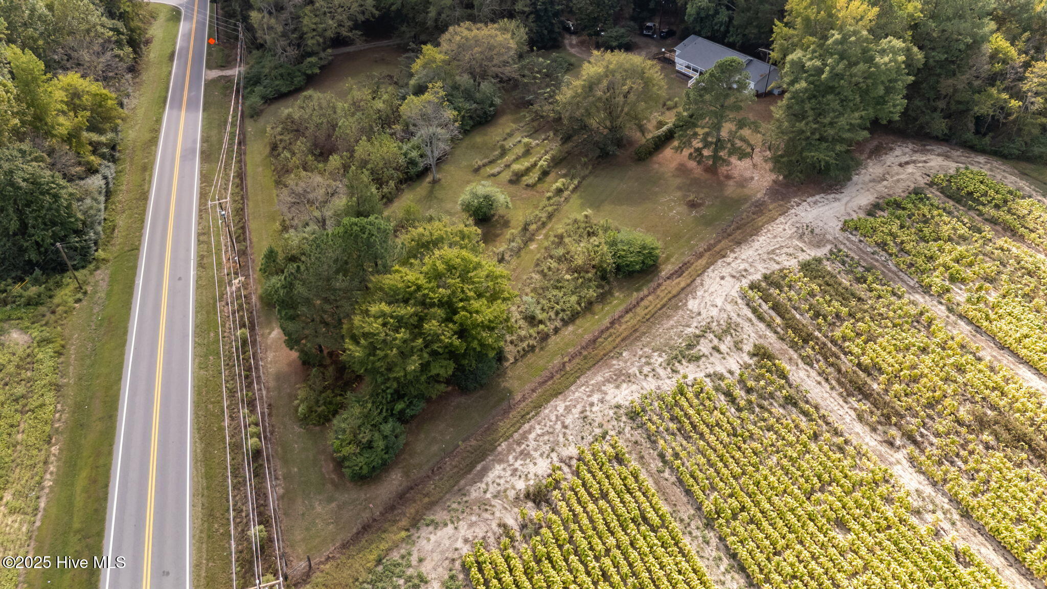 8782 Red Oak Road Whitakers, NC 27891 - Photo 11 of 50 10-web-or-mls-DJI_20251003154318_0497_D