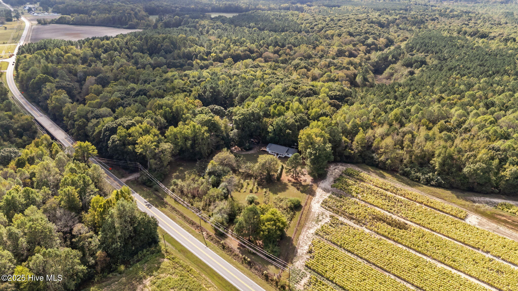 8782 Red Oak Road Whitakers, NC 27891 - Photo 12 of 50 12-web-or-mls-DJI_20251003154517_0500_D