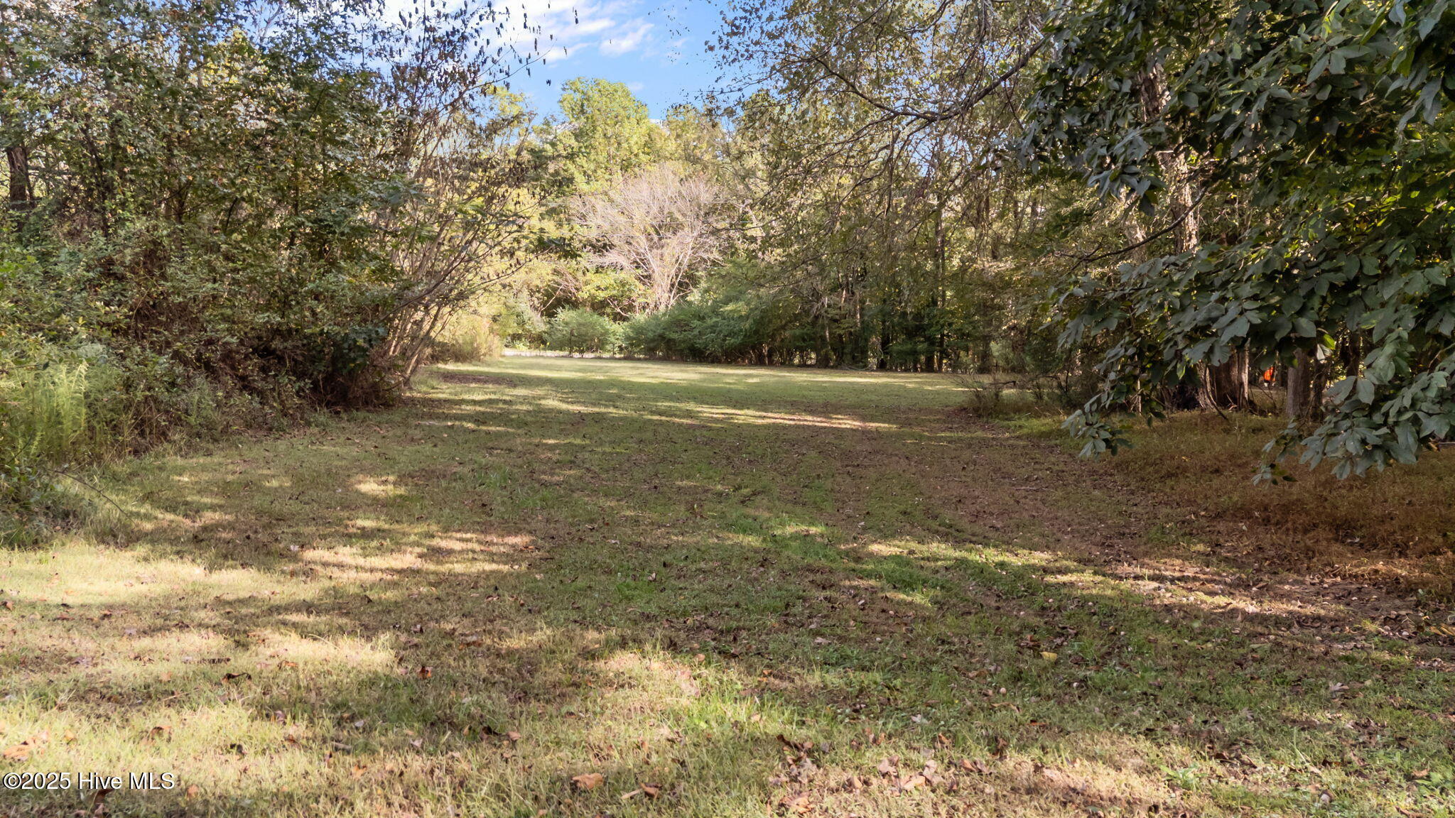 8782 Red Oak Road Whitakers, NC 27891 - Photo 14 of 50 14-web-or-mls-DJI_20251003154901_0503_D