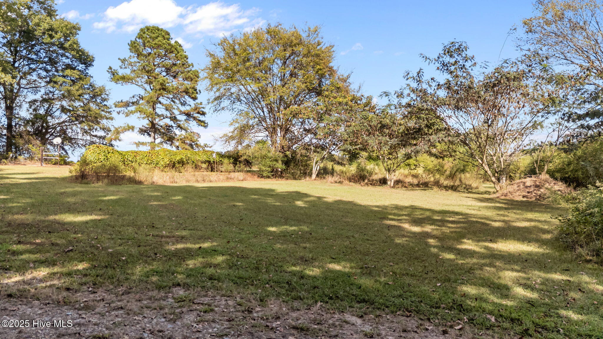 8782 Red Oak Road Whitakers, NC 27891 - Photo 15 of 50 15-web-or-mls-DJI_20251003154909_0504_D