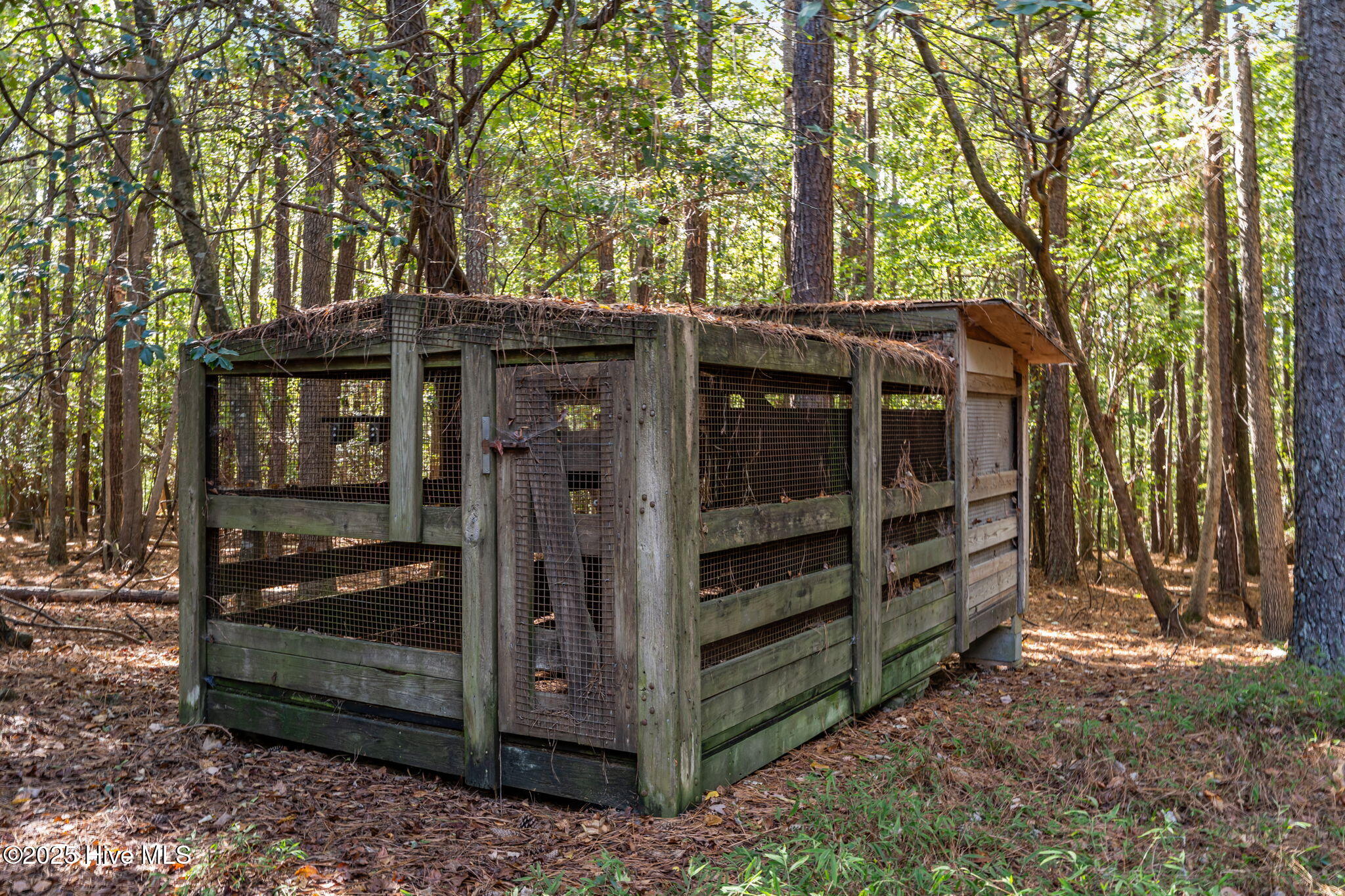 8782 Red Oak Road Whitakers, NC 27891 - Photo 23 of 50 23-web-or-mls-DSC09462