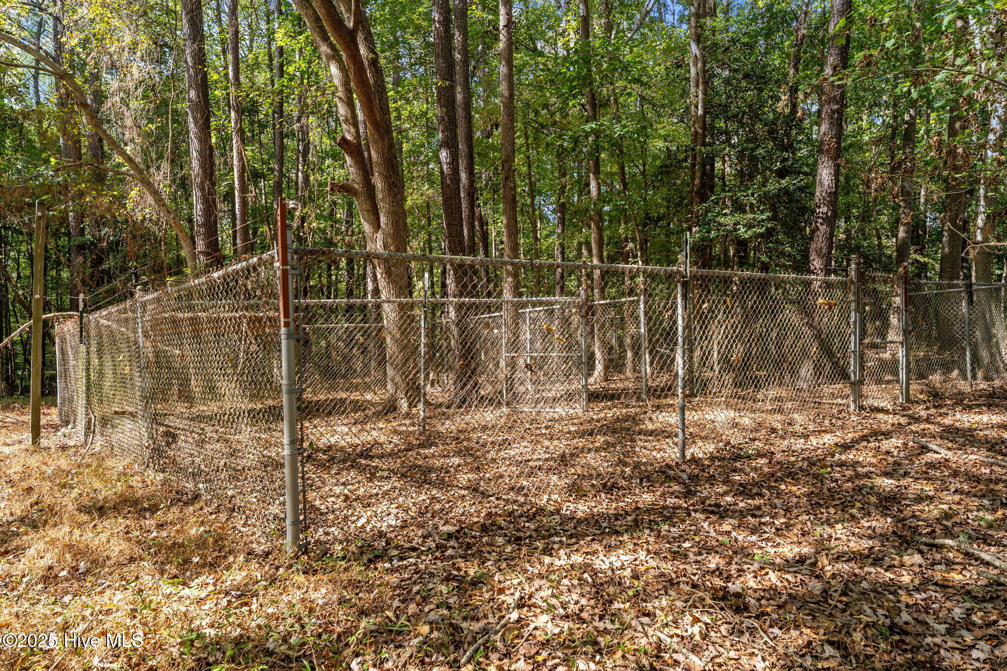 8782 Red Oak Road Whitakers, NC 27891 - Photo 24 of 50 29-web-or-mls-DSC09478