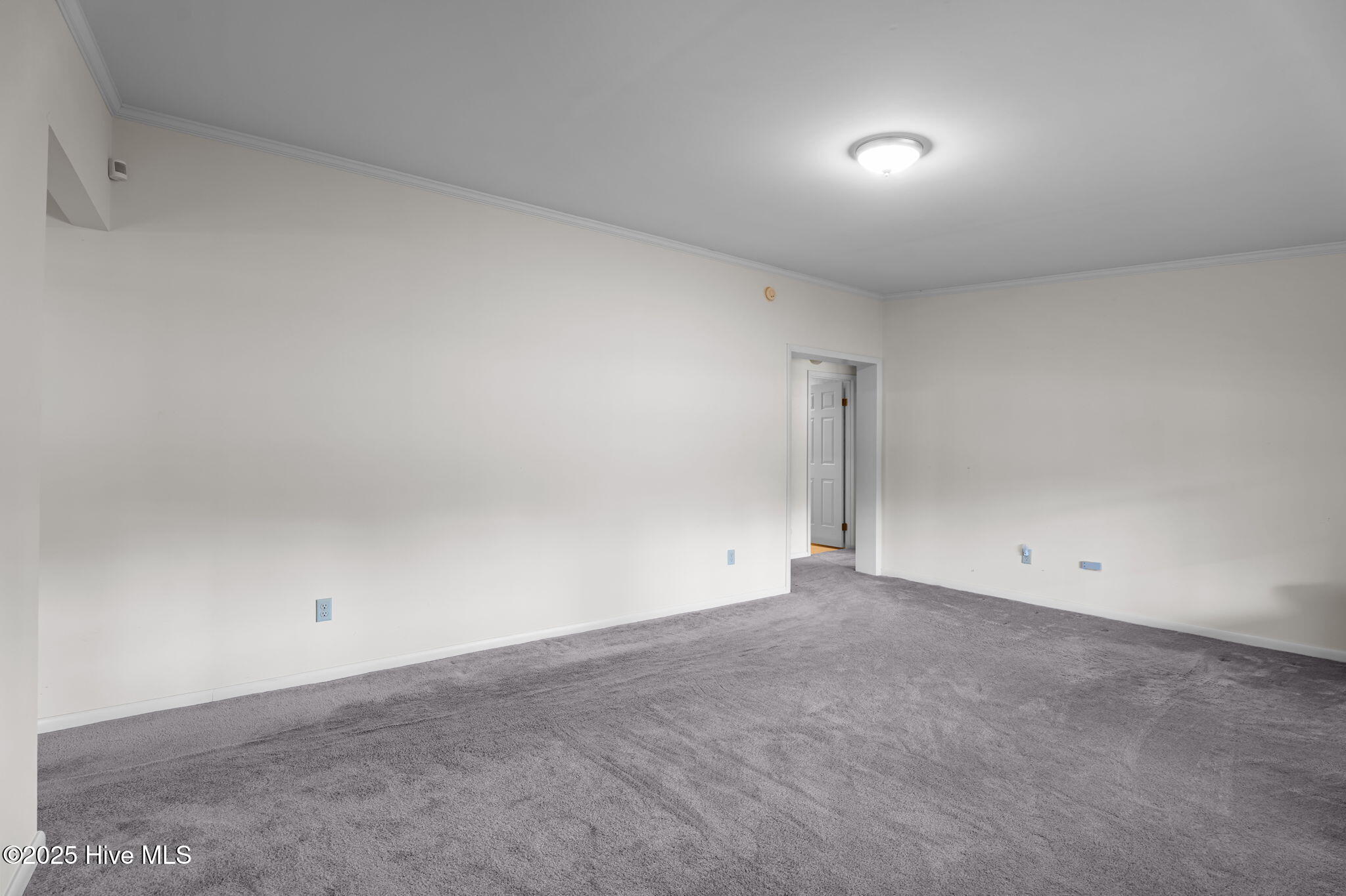 8782 Red Oak Road Whitakers, NC 27891 - Photo 30 of 50 30-web-or-mls-DSC09482