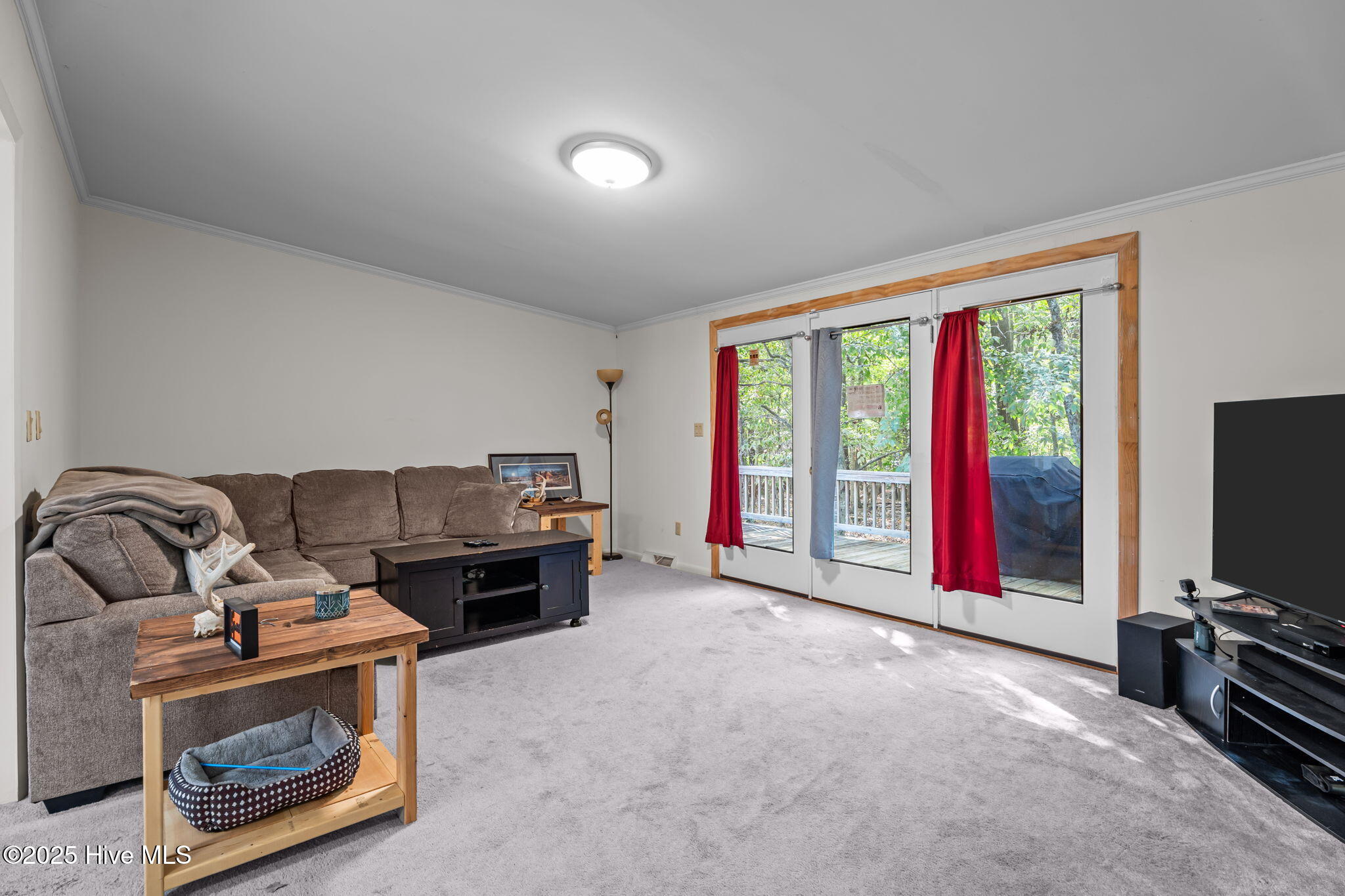 8782 Red Oak Road Whitakers, NC 27891 - Photo 37 of 50 37-web-or-mls-DSC09509