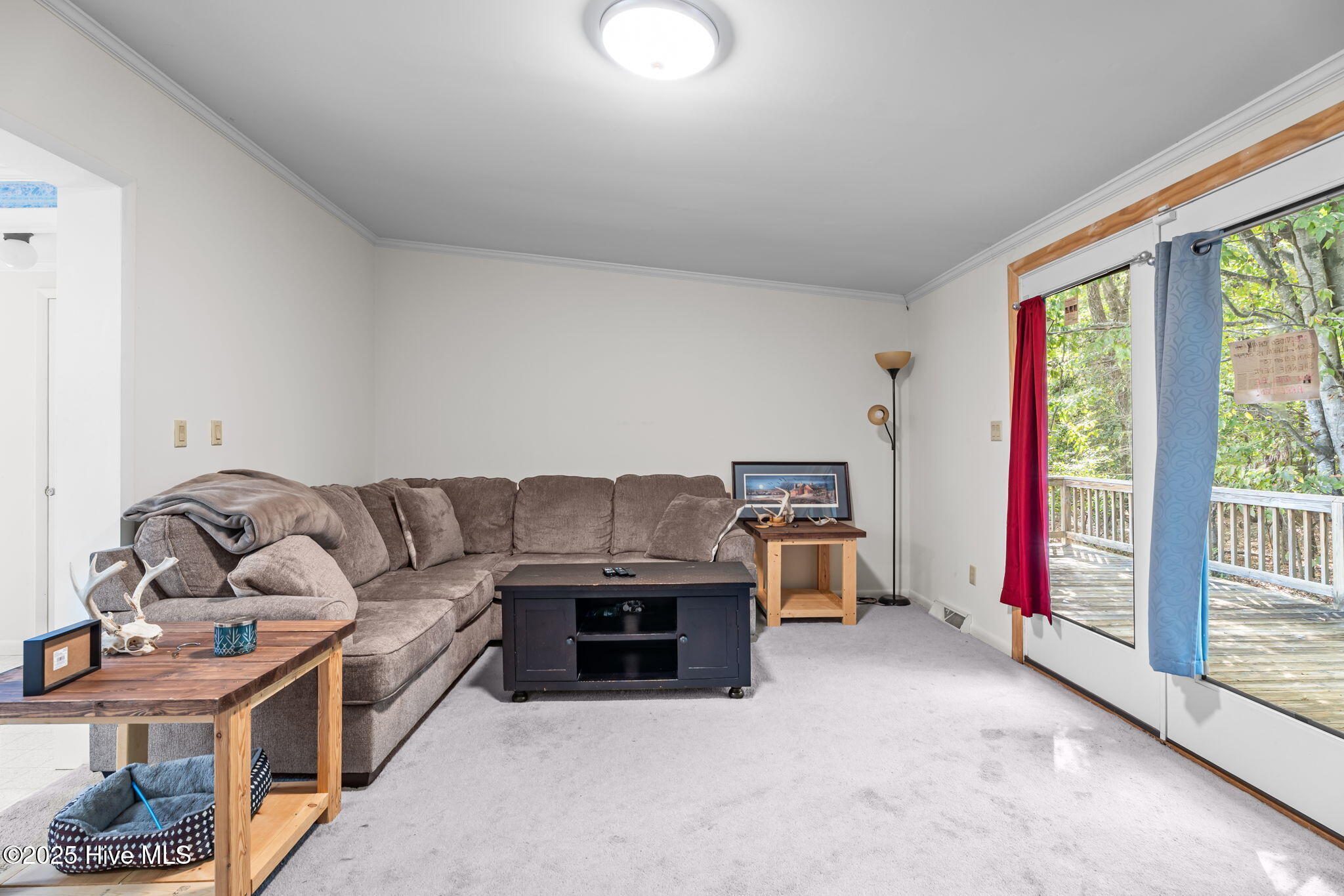 8782 Red Oak Road Whitakers, NC 27891 - Photo 38 of 50 38-web-or-mls-DSC09512