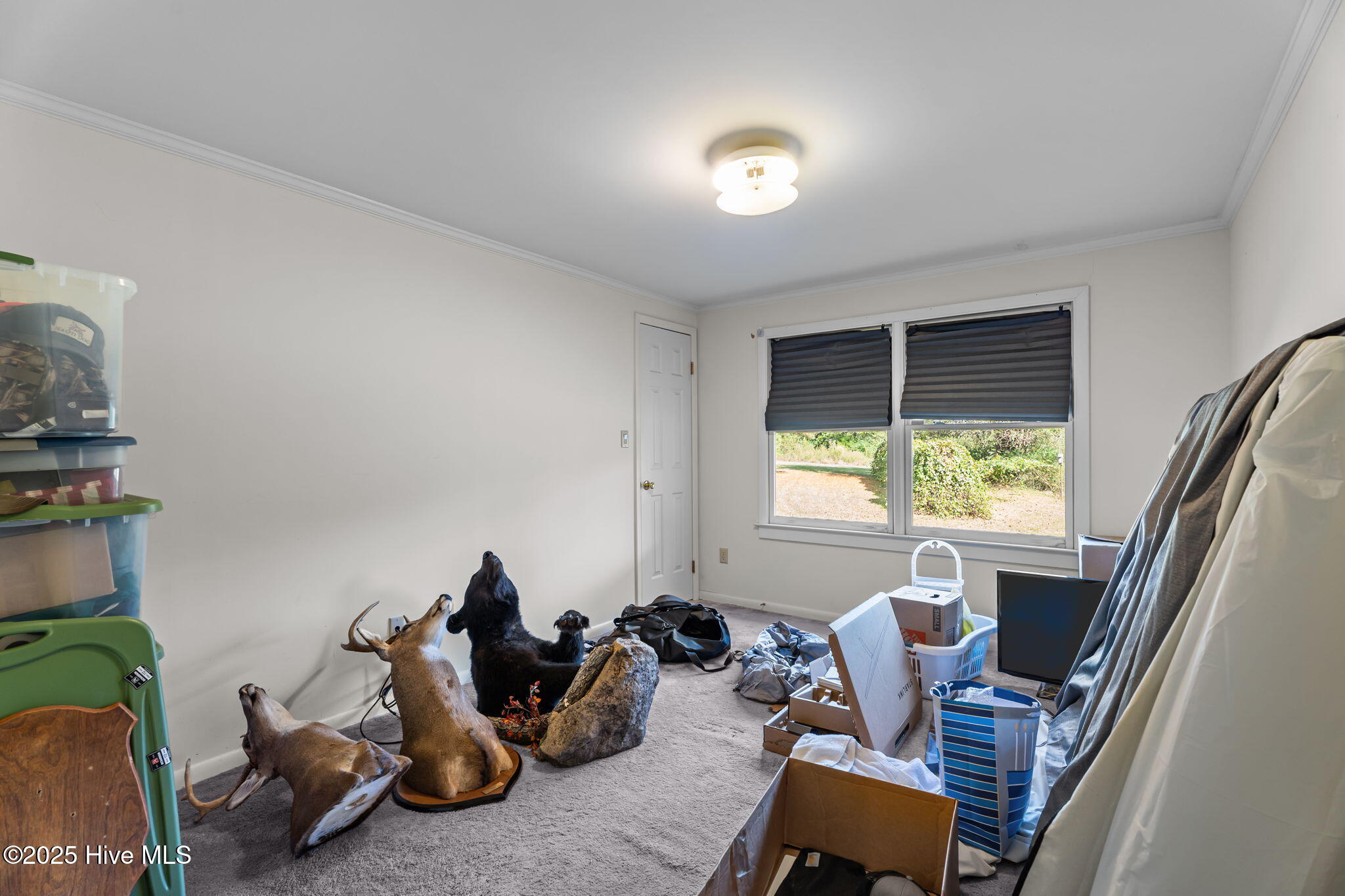 8782 Red Oak Road Whitakers, NC 27891 - Photo 41 of 50 41-web-or-mls-DSC09521