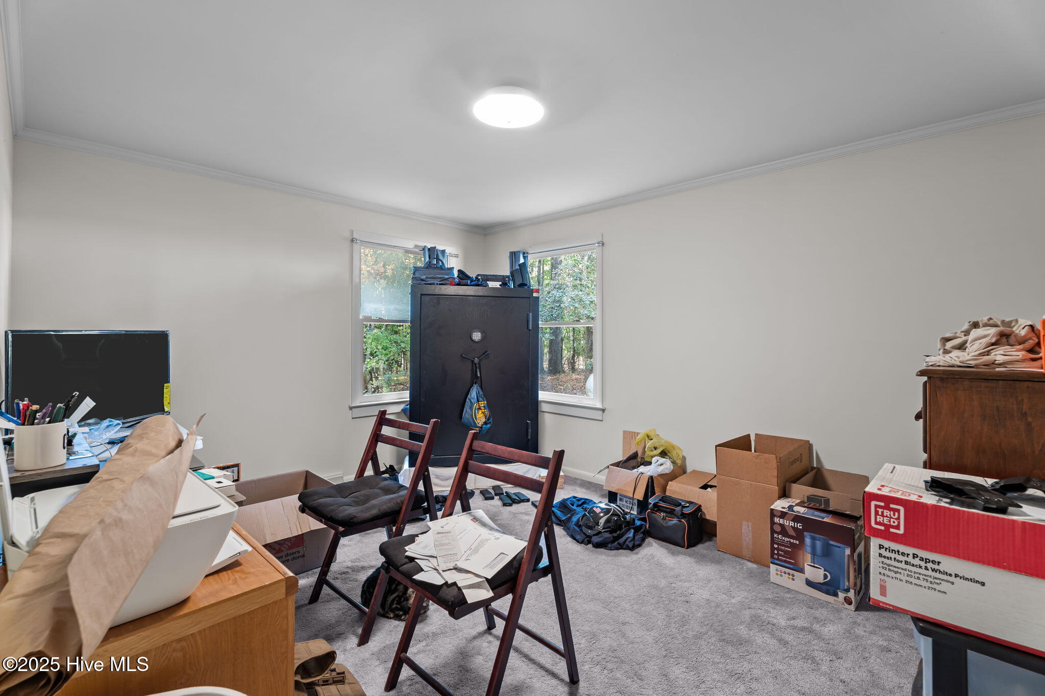 8782 Red Oak Road Whitakers, NC 27891 - Photo 43 of 50 43-web-or-mls-DSC09527