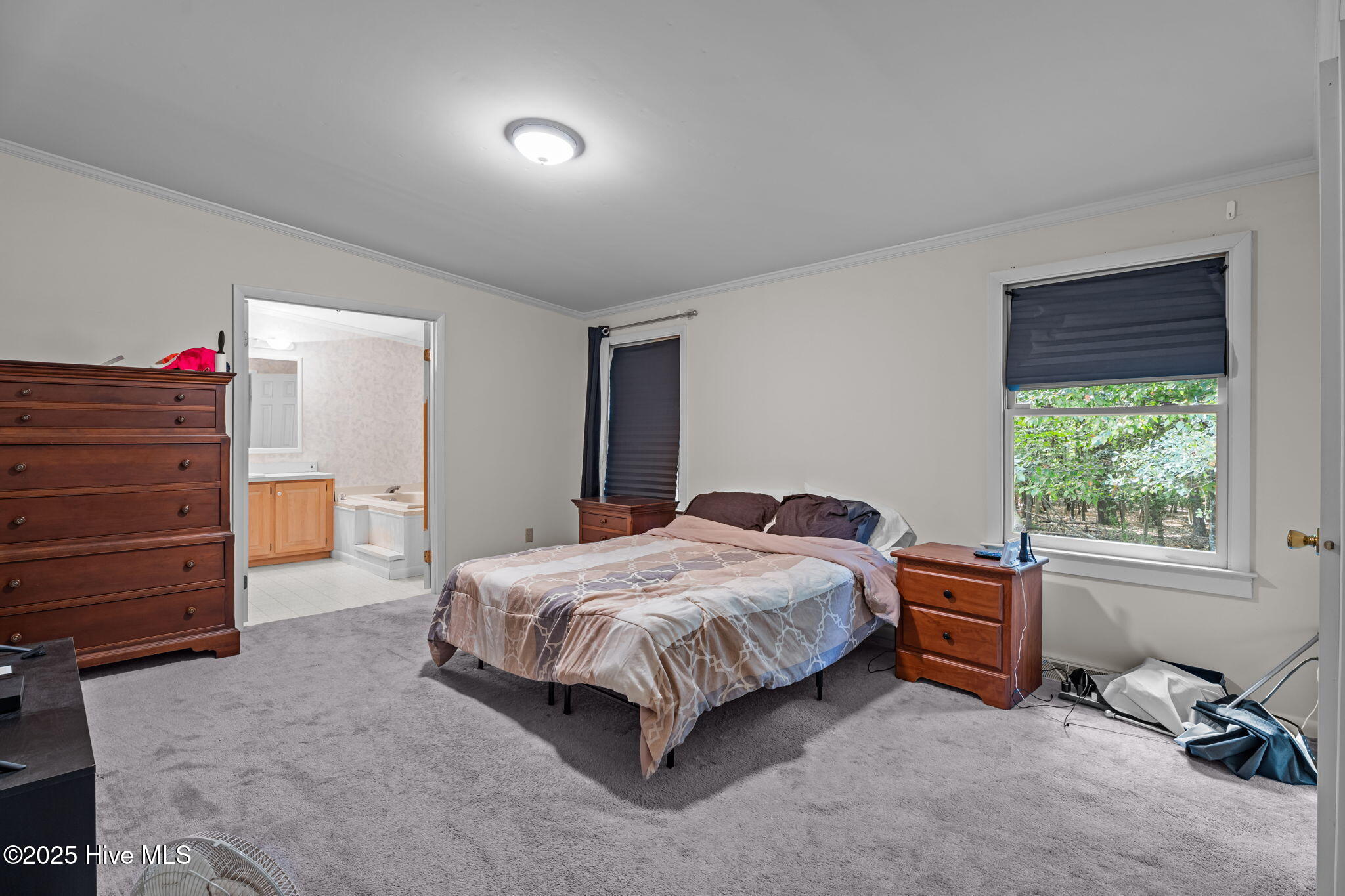 8782 Red Oak Road Whitakers, NC 27891 - Photo 45 of 50 45-web-or-mls-DSC09533-Recovered