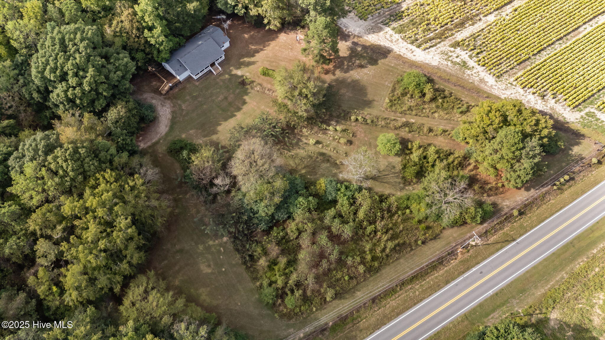 8782 Red Oak Road Whitakers, NC 27891 - Photo 10 of 50 9-web-or-mls-DJI_20251003154249_0496_D