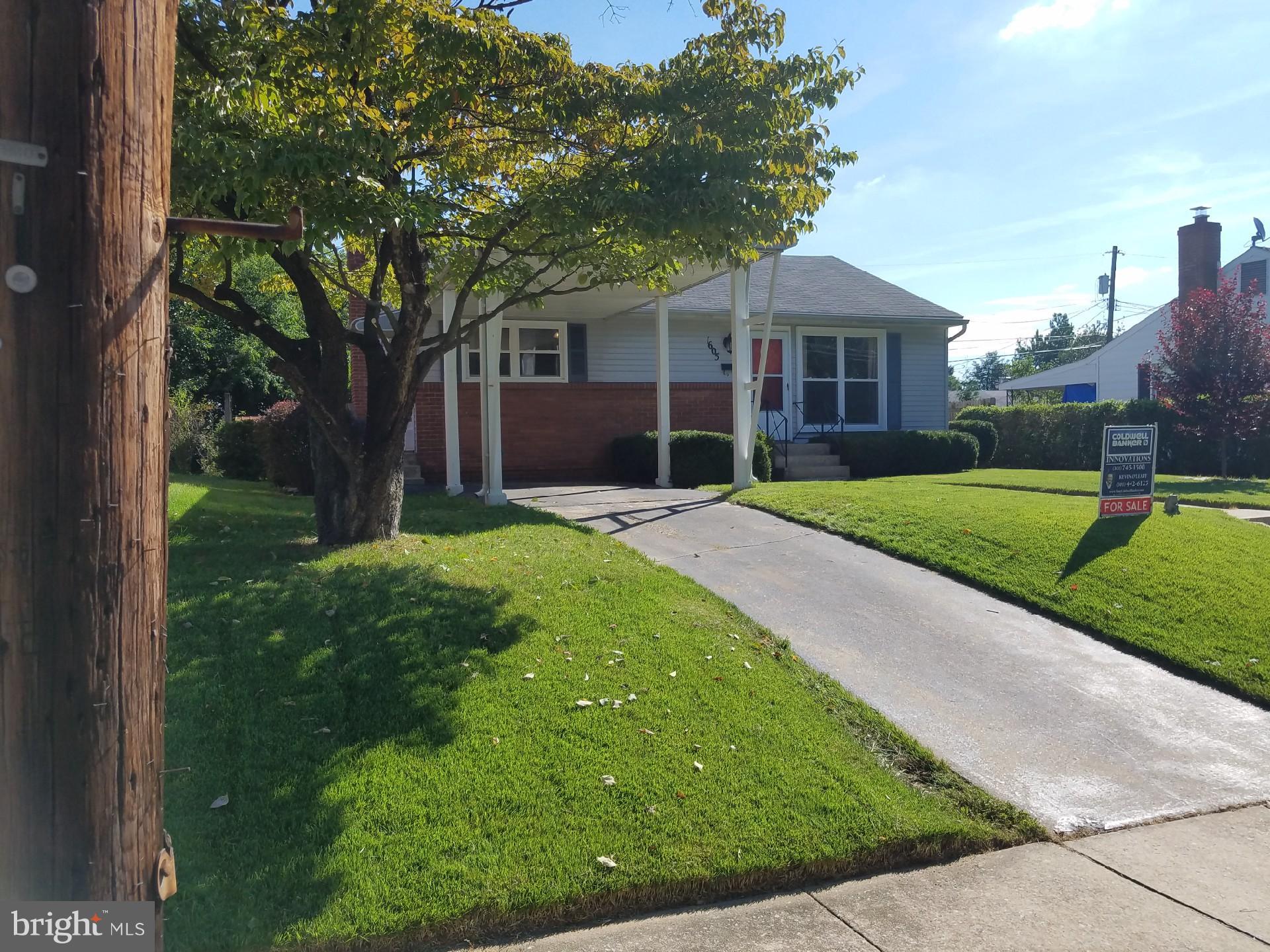 1605 West 7th Street Frederick, MD 21702 - Photo 2 of 19 a front view of a house with a yard and trees