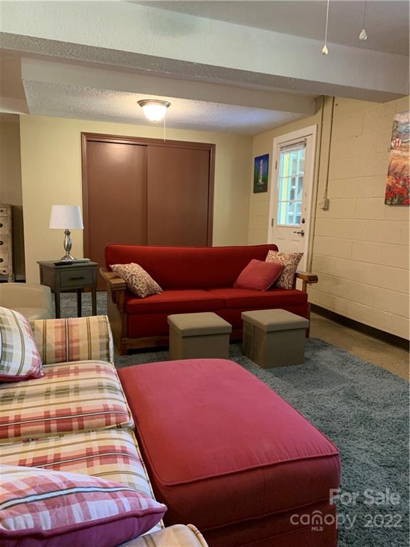 1115 Gouges Branch Road Leicester, NC 28748 - Photo 34 of 48 a bedroom with two beds and painted walls