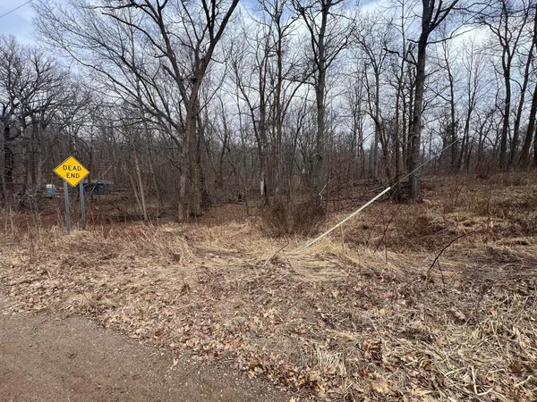 $6,750 | Tbd Birdie Bend, Garrison, MN 56450