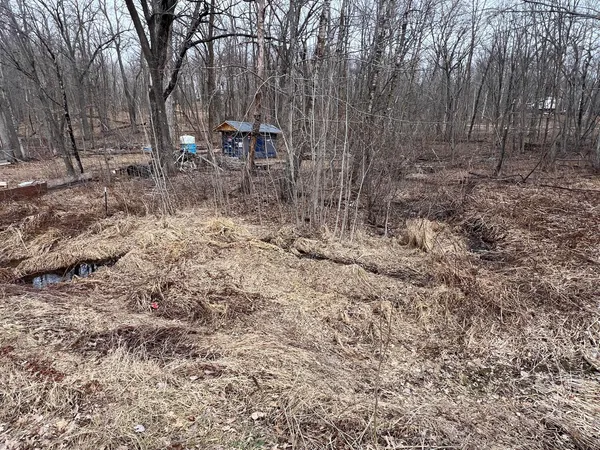 $6,750 | Tbd Birdie Bend, Garrison, MN 56450