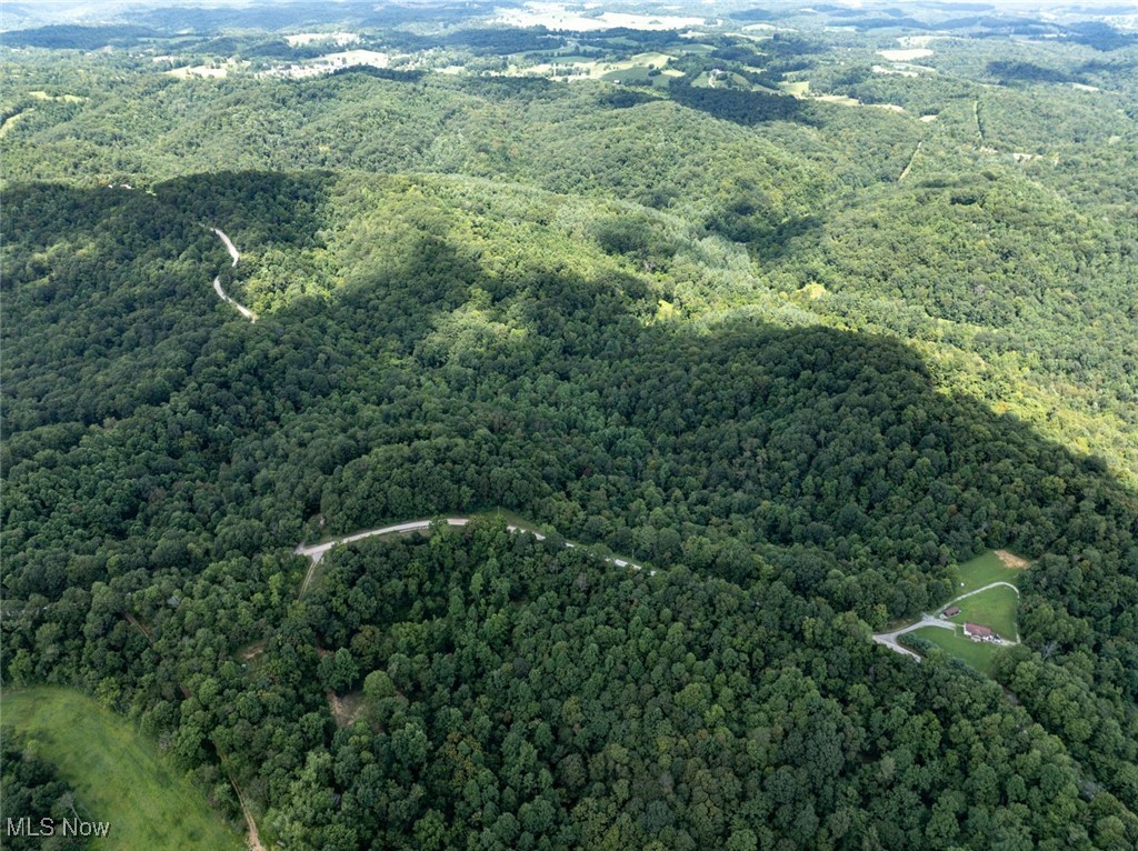 34390 Barber Ridge Road Lewisville, OH 43754 - Photo 6 of 50 Aerial view of property's location with a forest