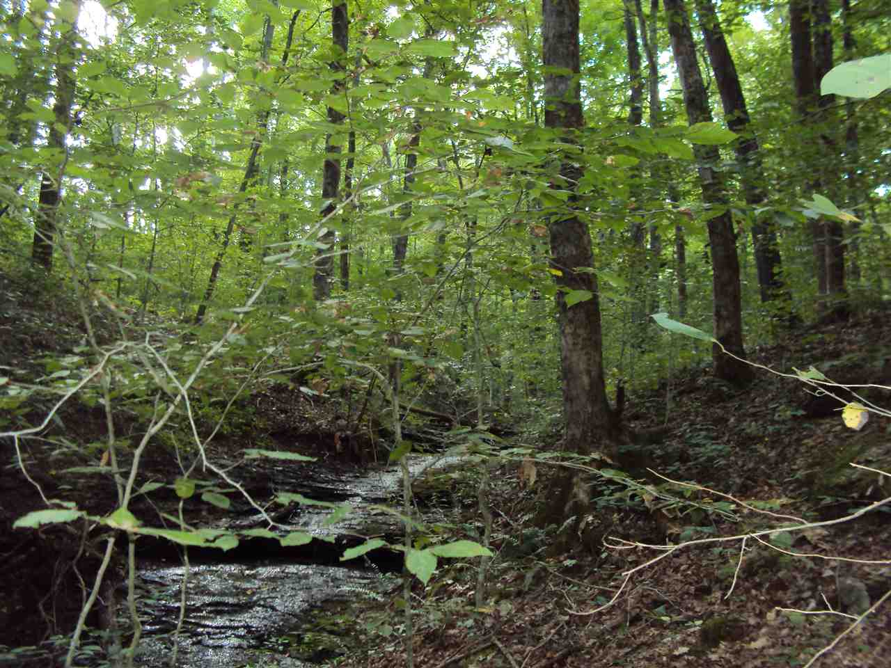 182 Riverview Road Scottsville, KY 42164 - Photo 19 of 22 Gallery Image 19