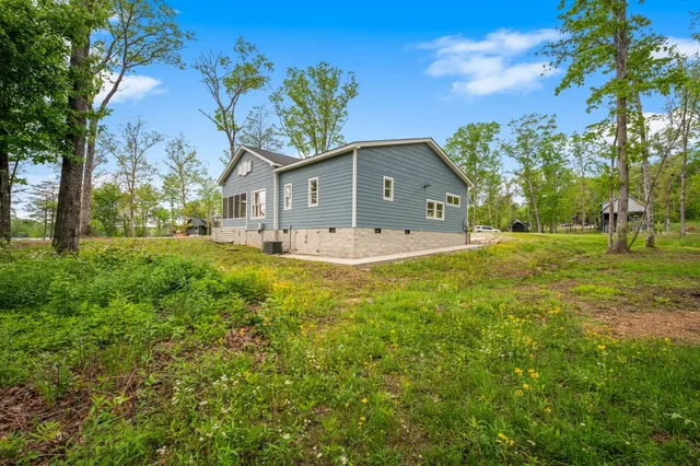 a large tree in middle of the green field