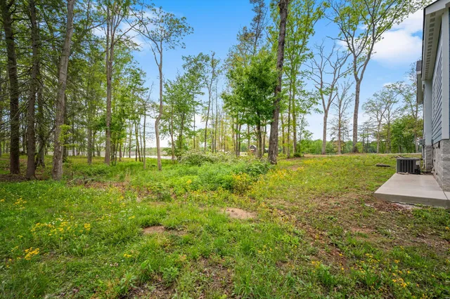 a view of backyard with green space