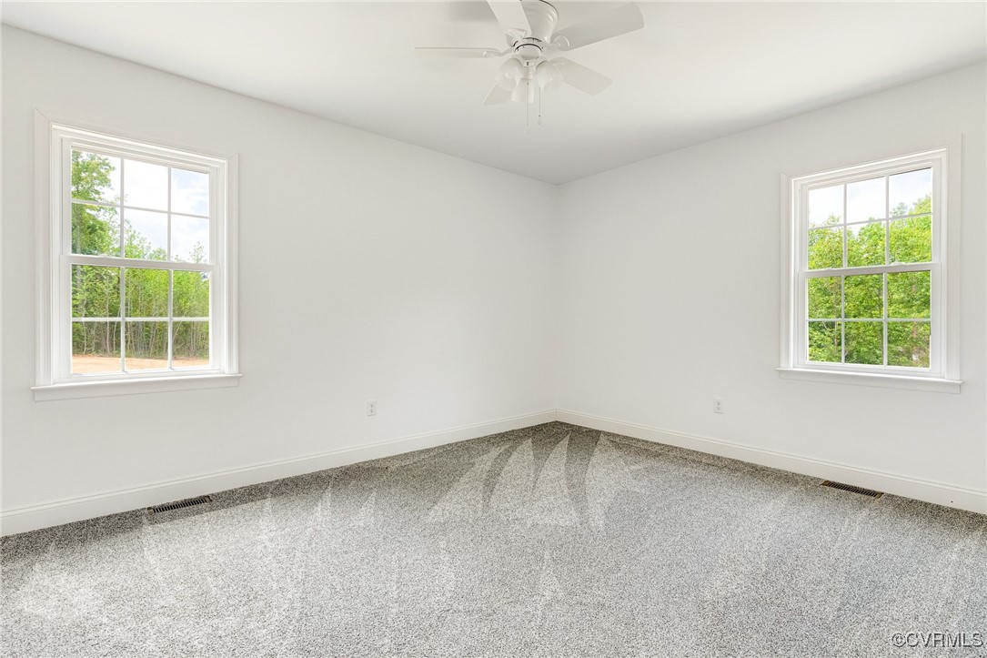 1684 Halls Store Road Mineral, VA 23117 - Photo 13 of 40 Carpeted spare room featuring a wealth of natural