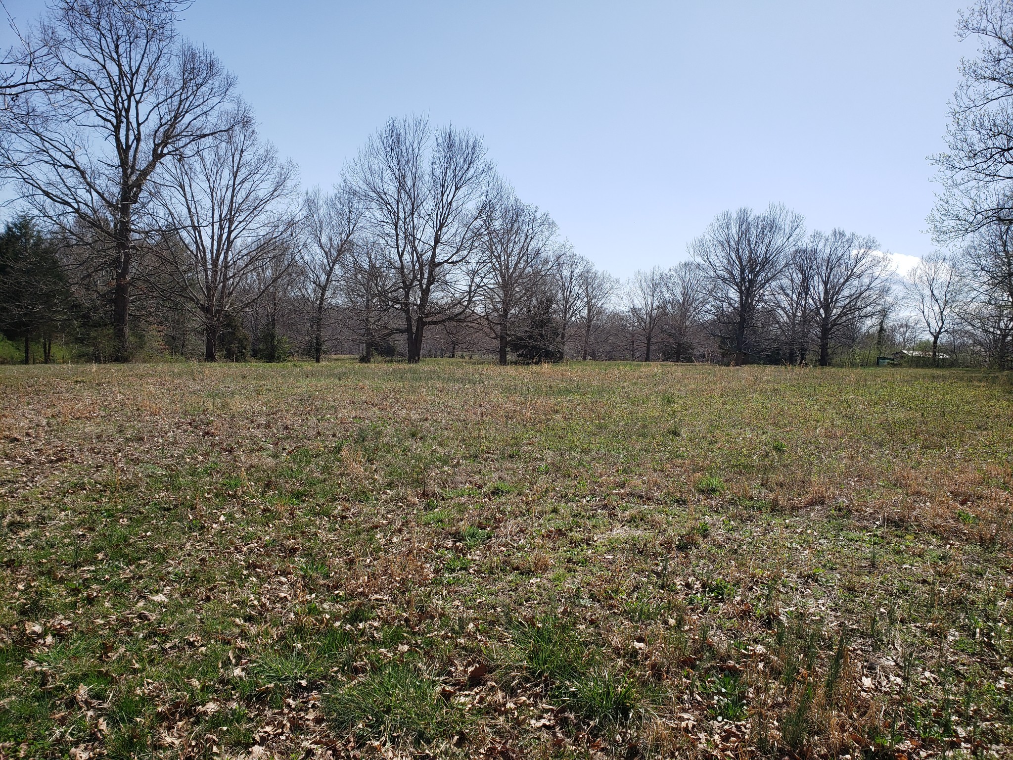 522 Murrell Road Dickson, TN 37055 - Photo 2 of 8