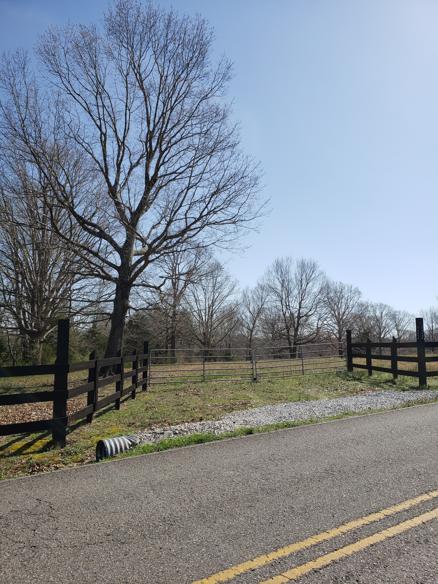 522 Murrell Road Dickson, TN 37055 - Photo 3 of 8 a view of road with trees