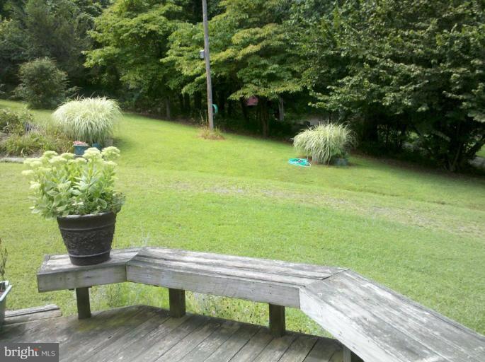 935 Bluff Mountain Road Madison, VA 22727 - Photo 10 of 13 Back yard