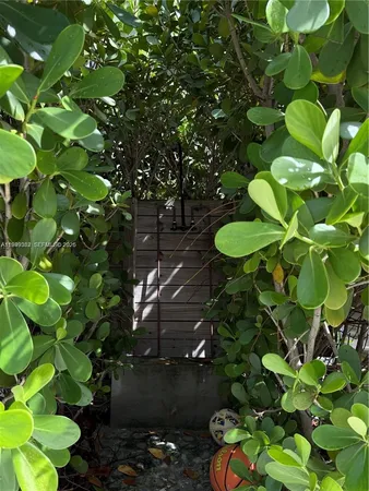 a view of backyard with wooden floor