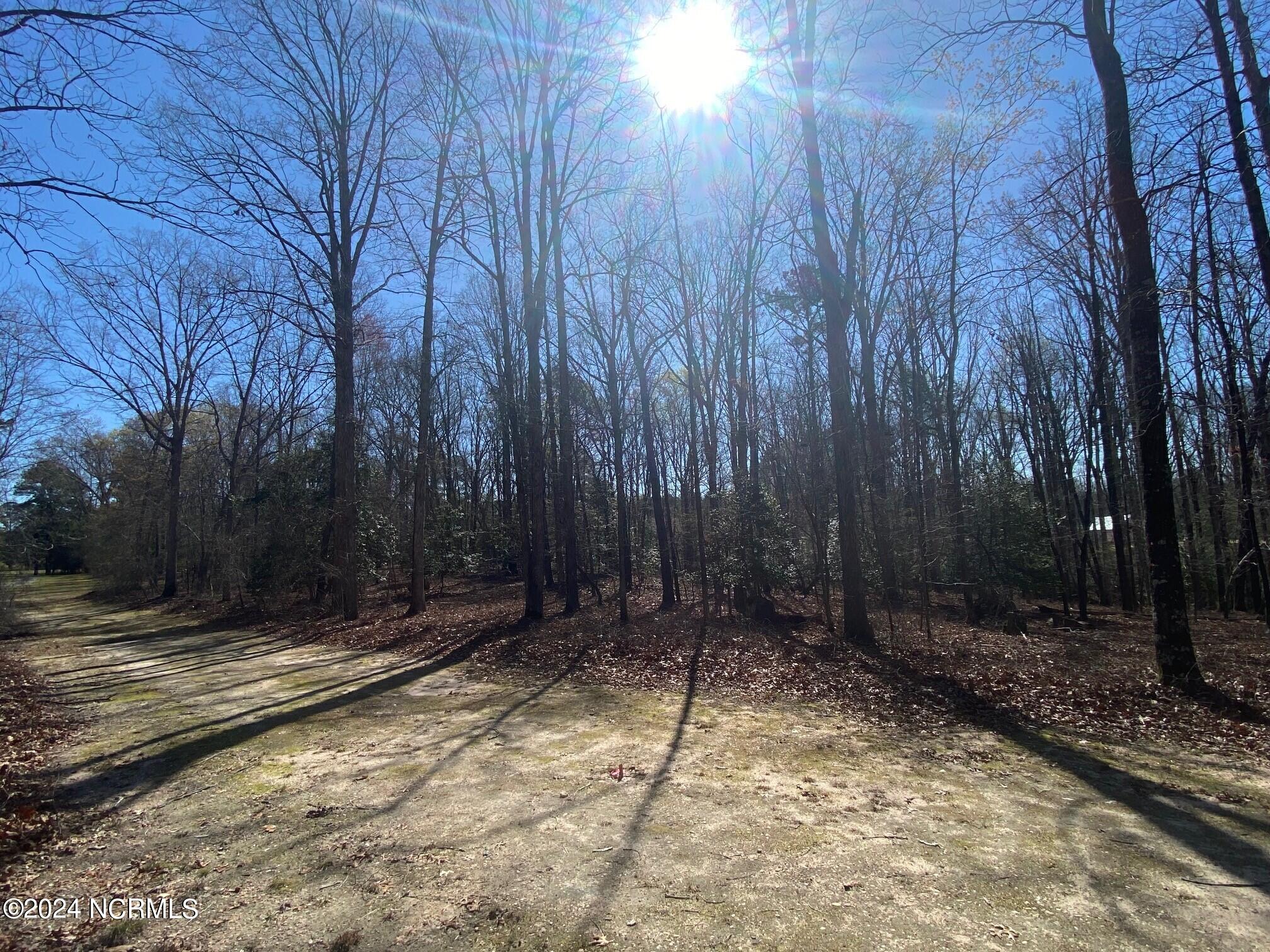 149 Winner Cir Lane Carthage, NC 28327 - Photo 2 of 4 Standing near the red survey marker at other end of lot.
