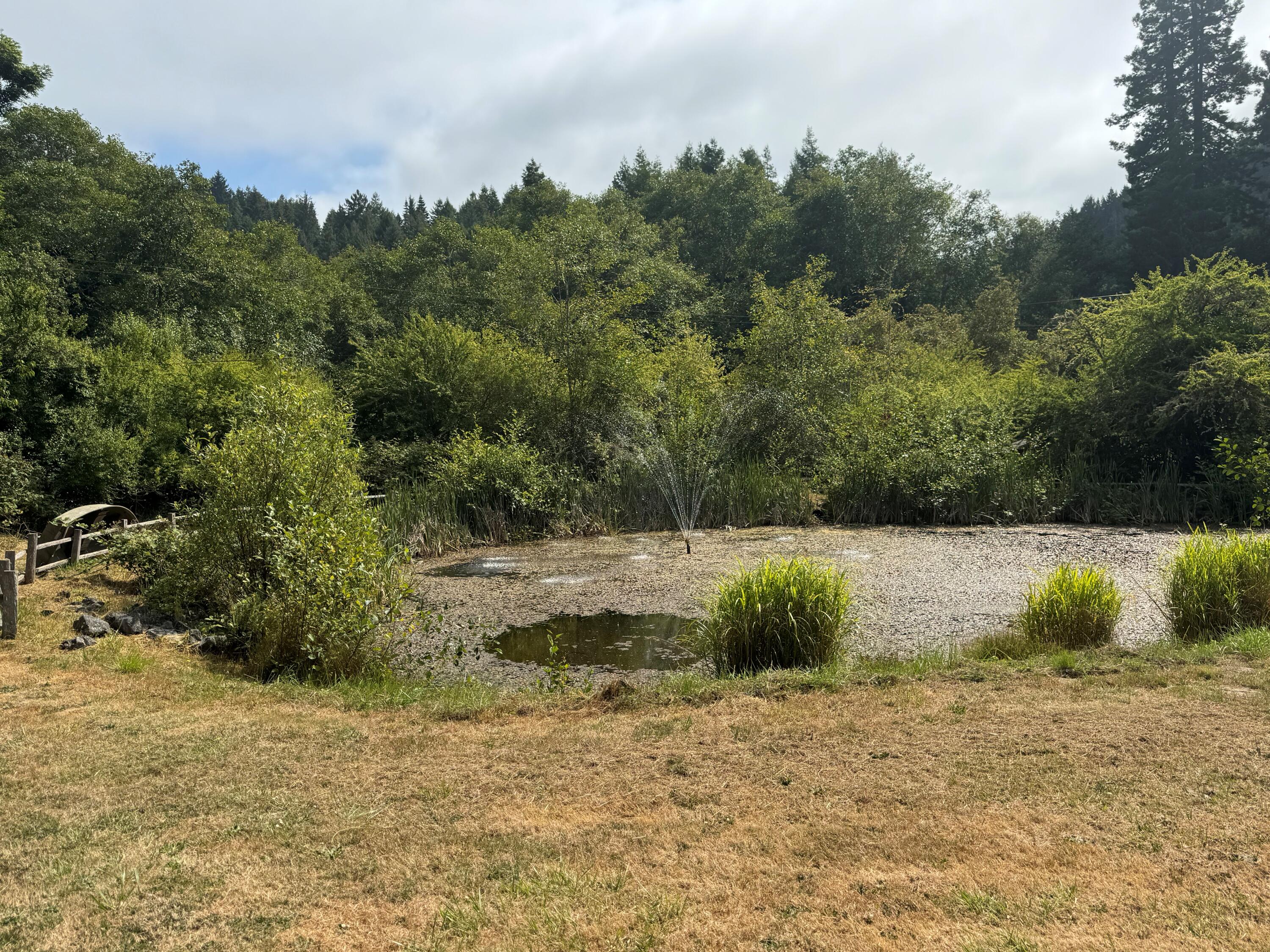 8472 Elk River Road Eureka, CA 95503 - Photo 10 of 46