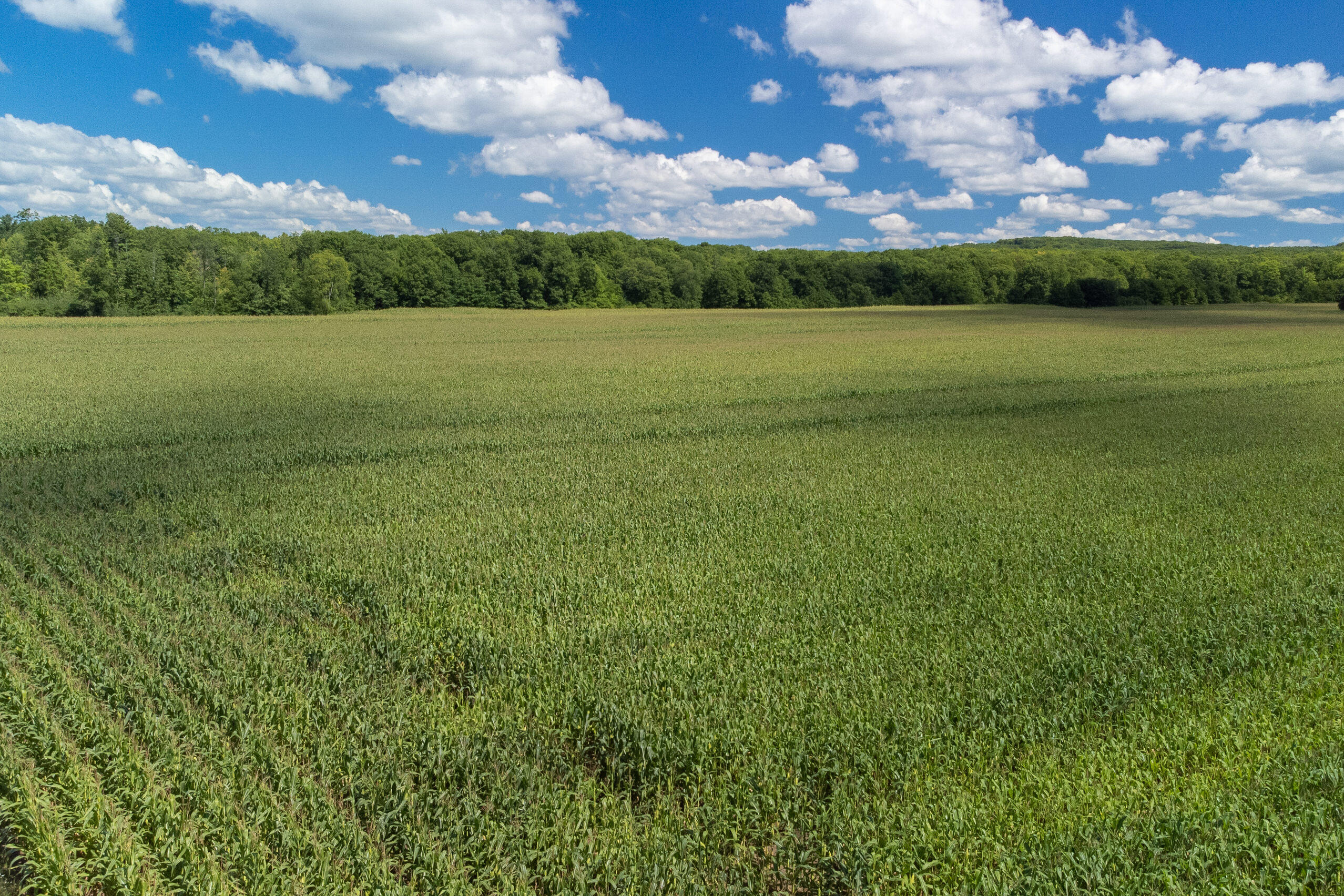 16540 Brewer Road Brethren, MI 49619 - Photo 54 of 91 16540_Brewer_Rd-59