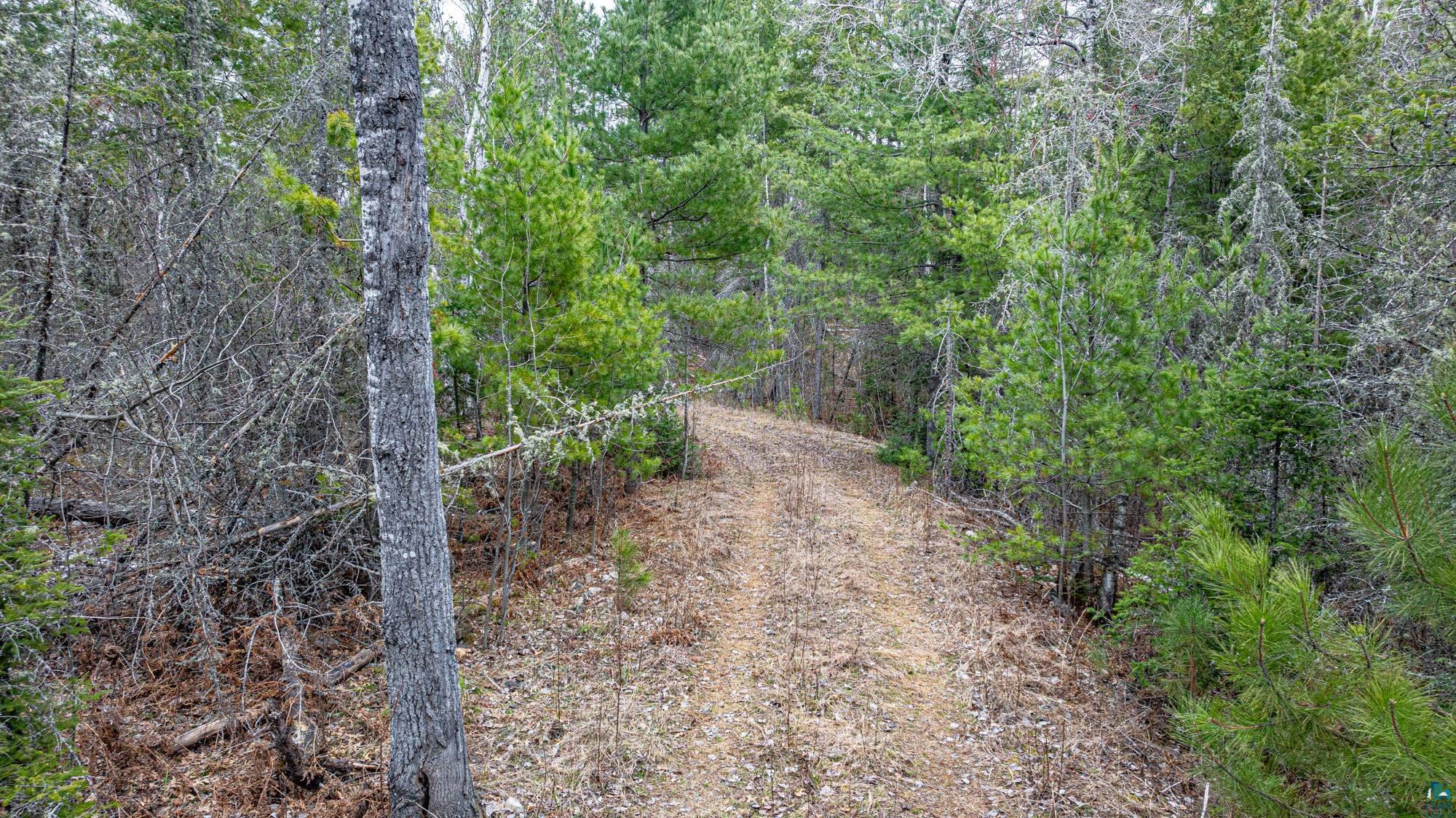 Tbd Lindbeck Road Ely, MN 55731 - Photo 15 of 44