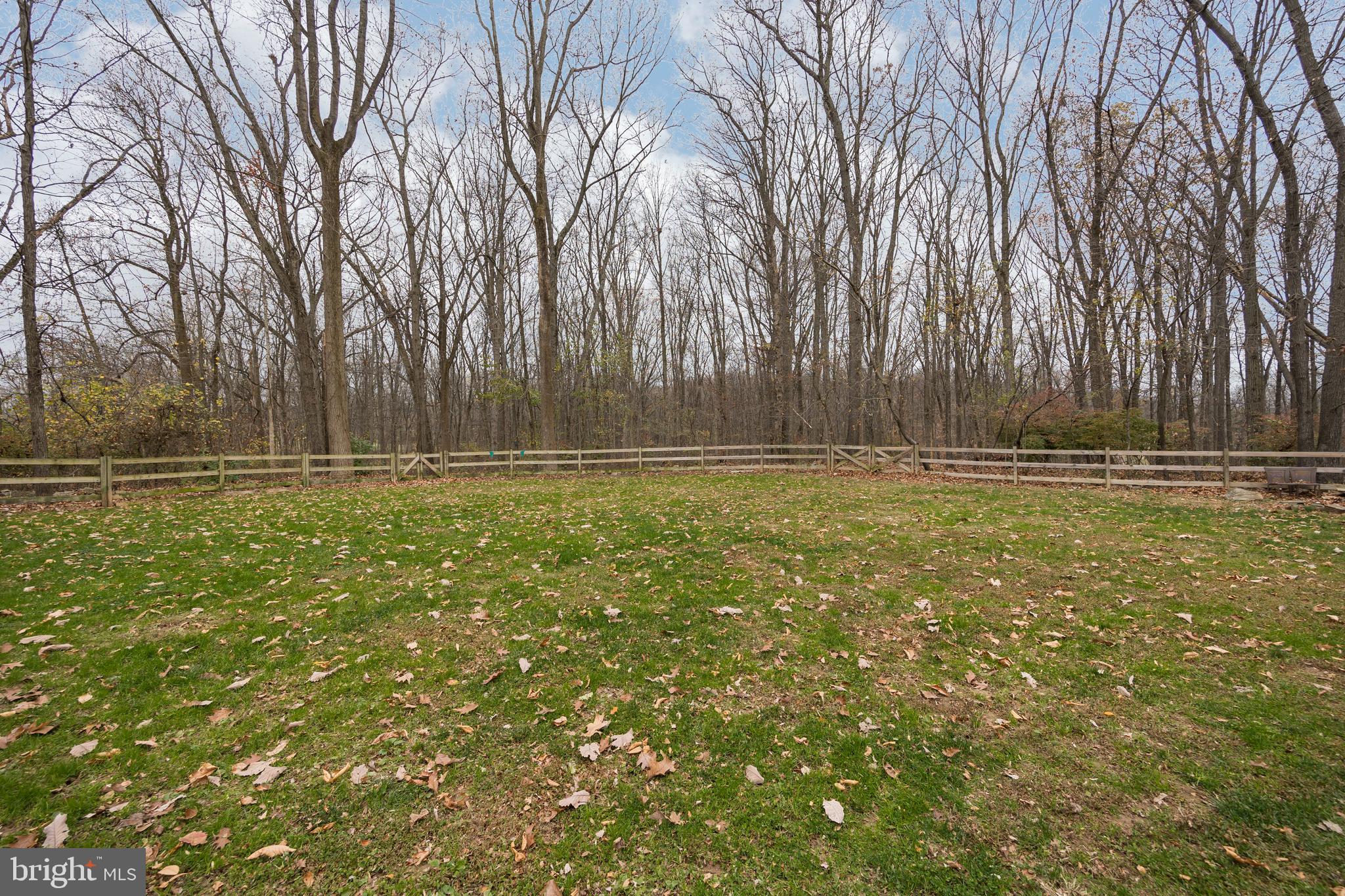 249 Kaolin Road Coatesville, PA 19320 - Photo 46 of 49 Back Yard