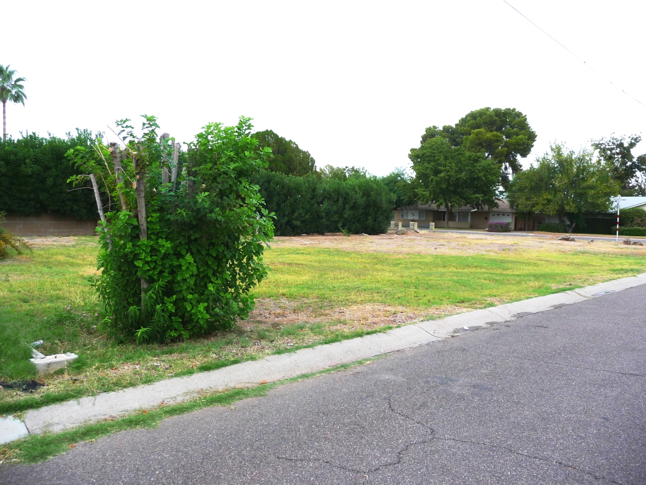 4525 East Cheery Lynn Road, Unit 6 Phoenix, AZ 85018 - Photo 3 of 11 46th Street View