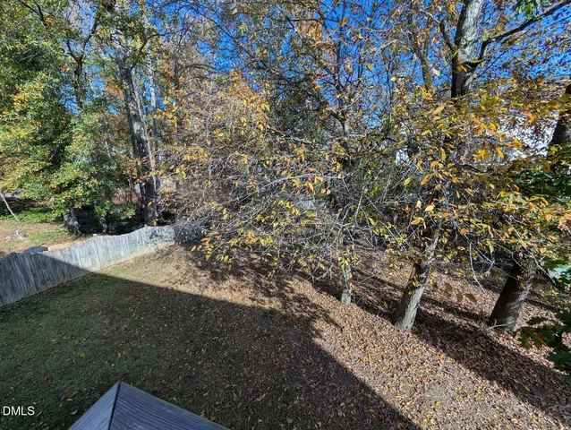 a view of a yard from a tree