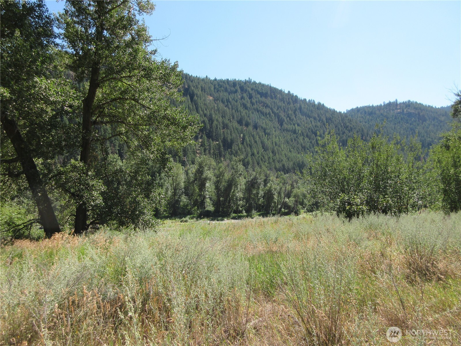 0 Customs Road Curlew, WA 99118 - Photo 12 of 17 Gallery Image 12