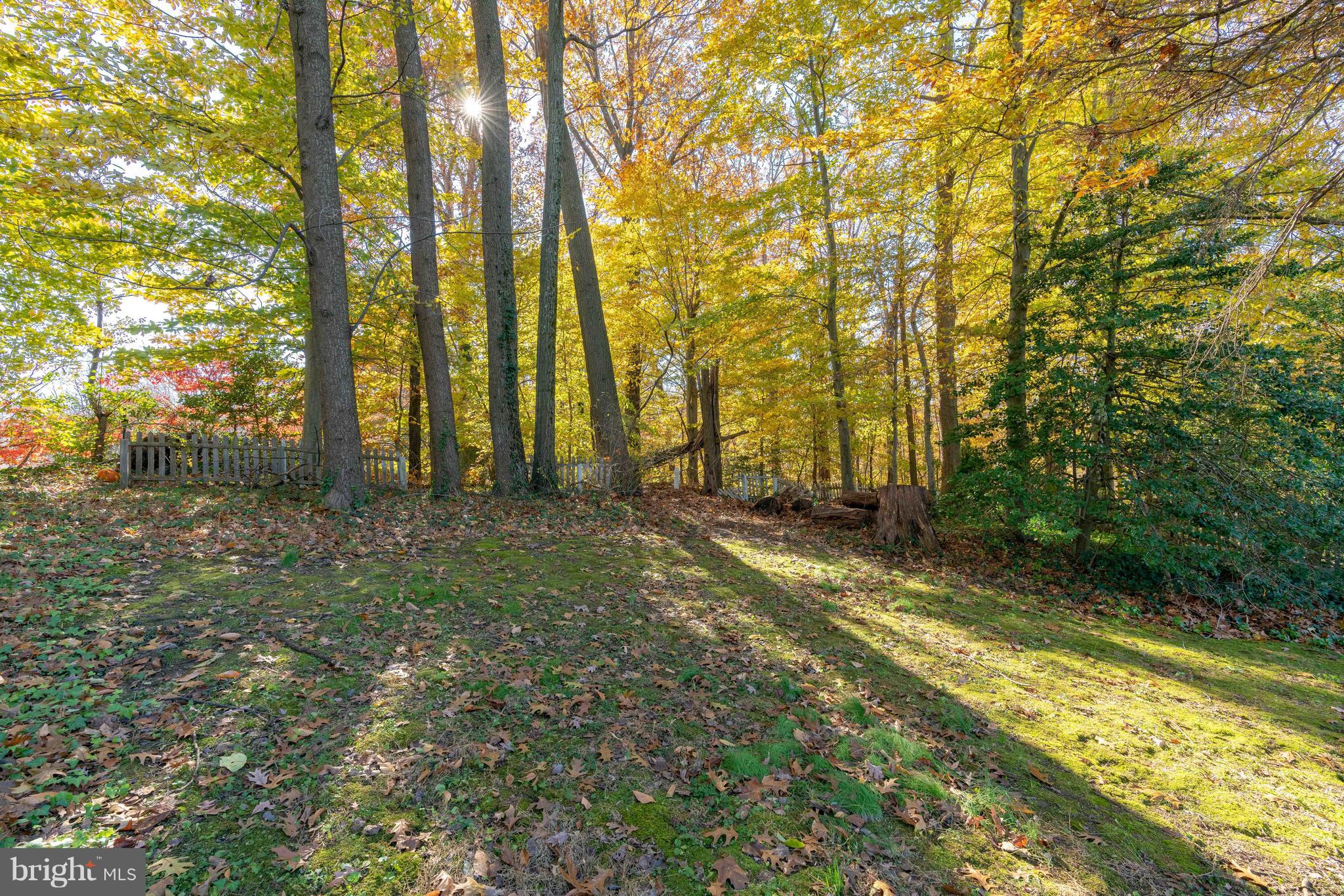 7416 Gary Street Springfield, VA 22150 - Photo 25 of 26 Privacy! Large yard