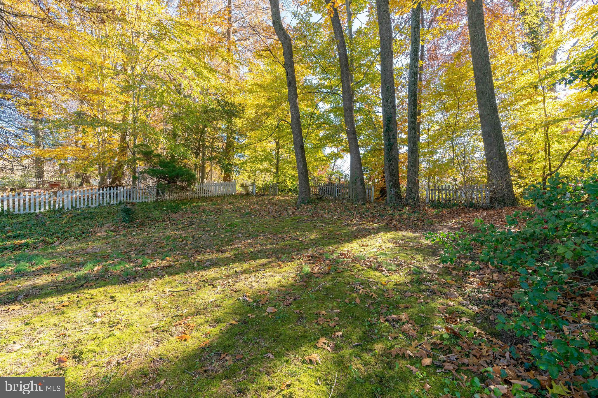 7416 Gary Street Springfield, VA 22150 - Photo 26 of 26 Backyard, fenced, Tree's, Private!