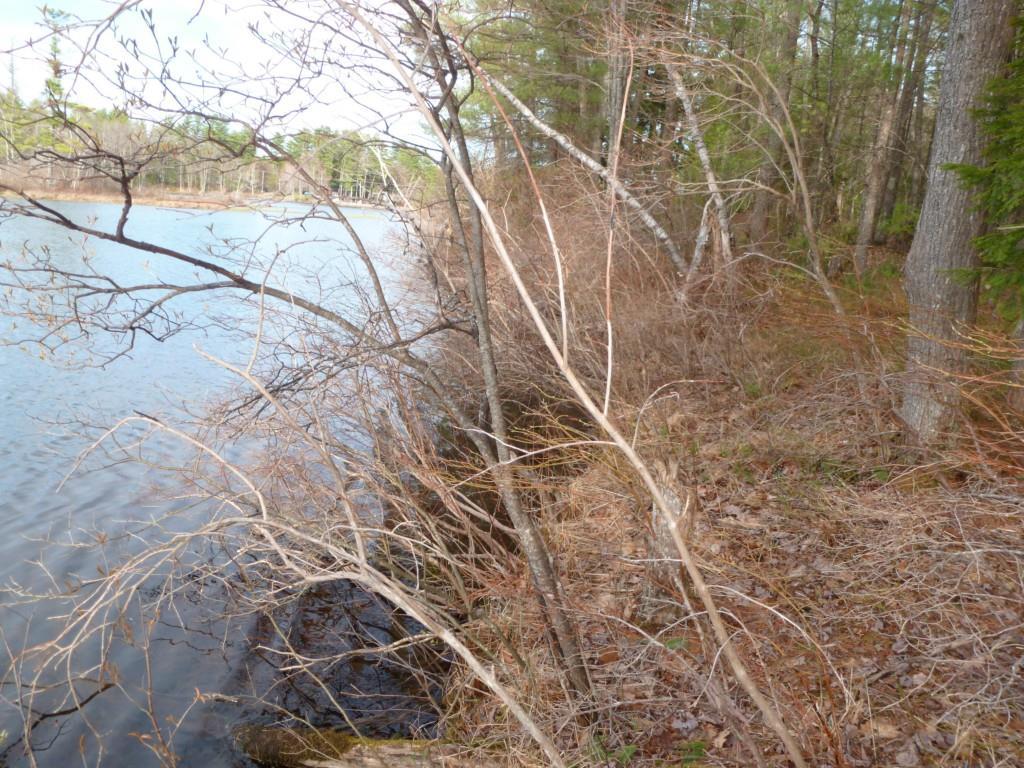 Lot 4 Greeley Brook Road Oxford, ME 04270 - Photo 10 of 10 Photo