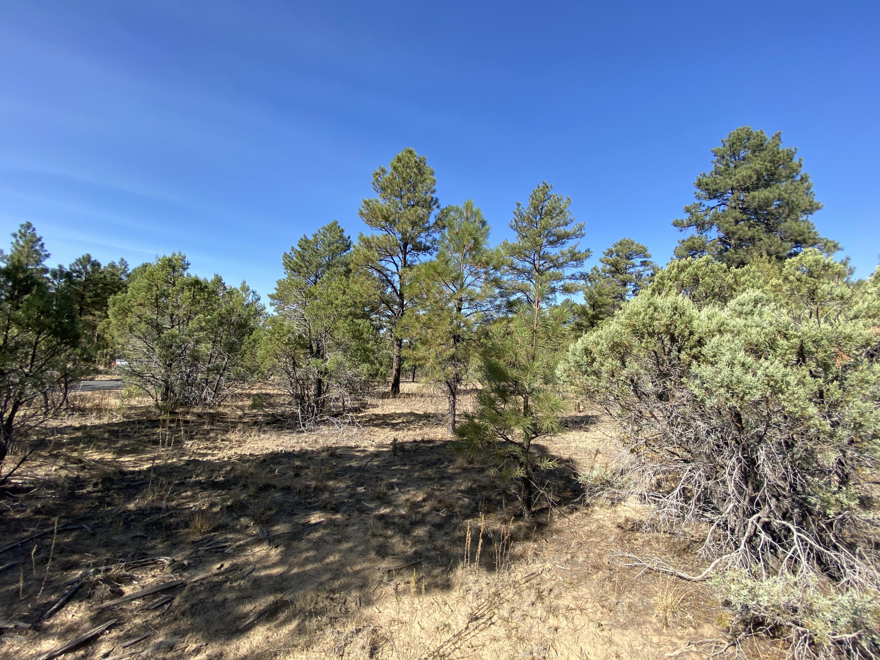 4700 West Hawthorn Road Show Low, AZ 85901 - Photo 1 of 5