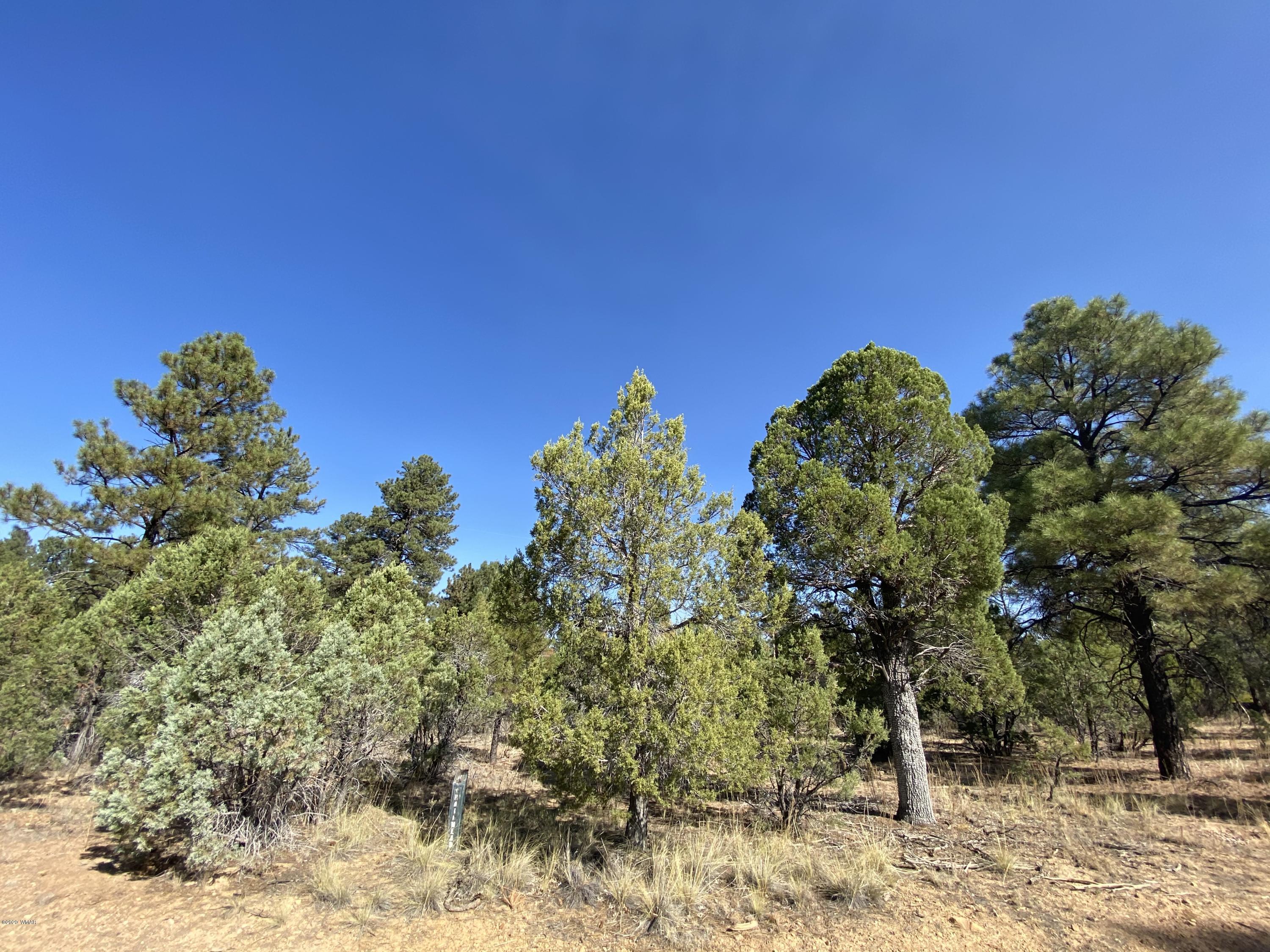 4700 West Hawthorn Road Show Low, AZ 85901 - Photo 2 of 5