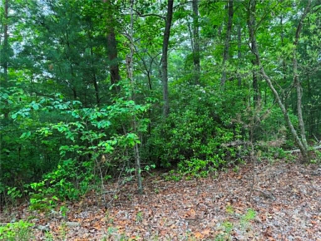 1674 A Hunter Drive Ranger, GA 30734 - Photo 6 of 25 a view of a lush green forest