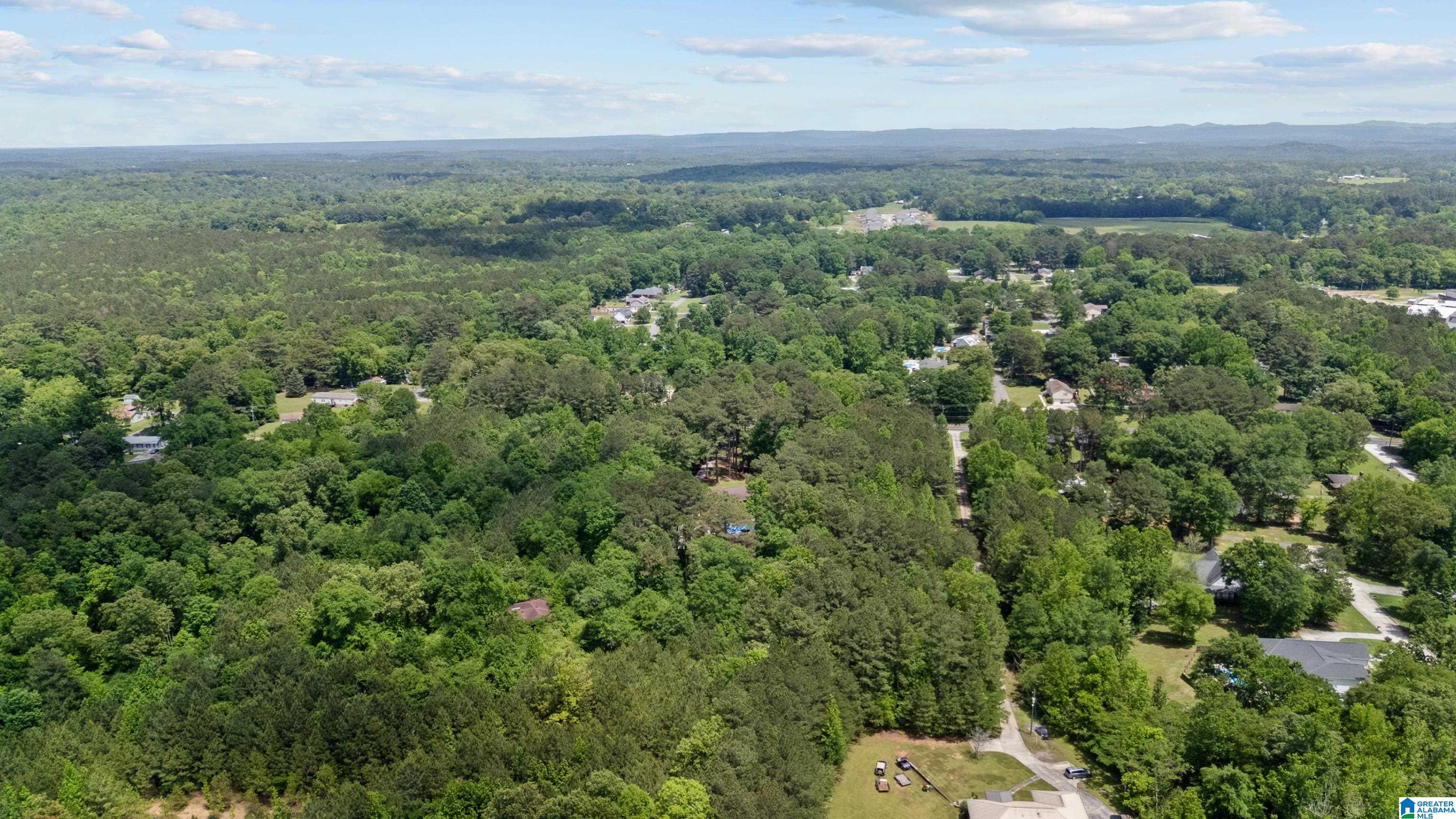 8924 Stouts Road, Unit 1 Kimberly, AL 35091 - Photo 8 of 8