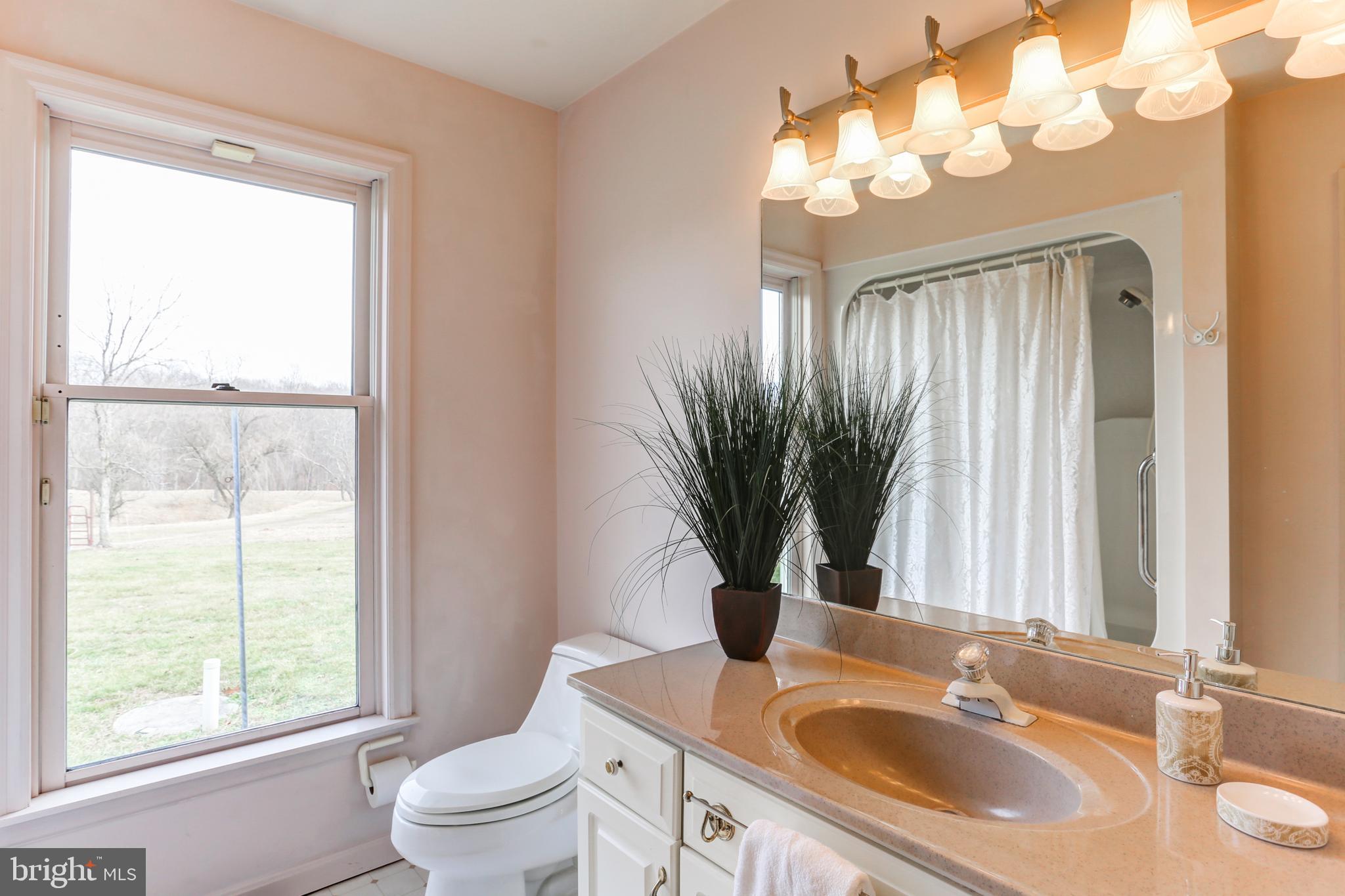 316 Sample Bridge Road Mechanicsburg, PA 17050 - Photo 51 of 102 In-Law Suite (Bathroom)