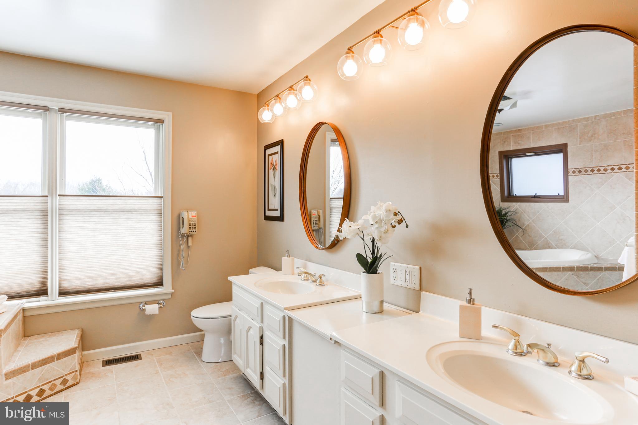 316 Sample Bridge Road Mechanicsburg, PA 17050 - Photo 58 of 102 Primary Bathroom