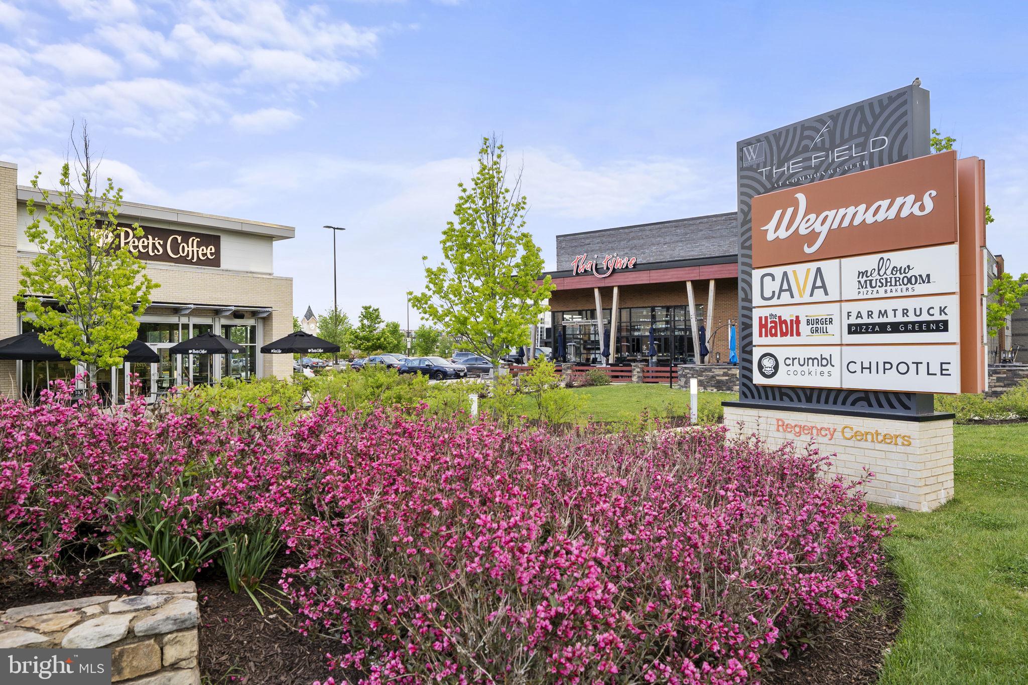 14176 Gypsum Loop Chantilly, VA 20151 - Photo 50 of 63