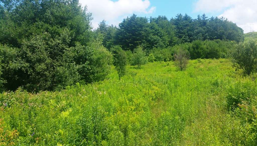 Lot 45 Slate Ledge Road Littleton, NH 03561 - Photo 2 of 2